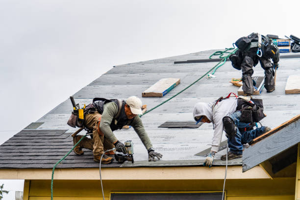 Professional Roofing technician working in Harrison, ME